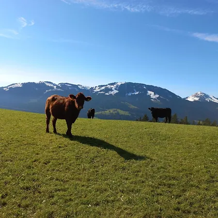 Hinterschiesslinghof 아파트 쉐파우암윌던카이저