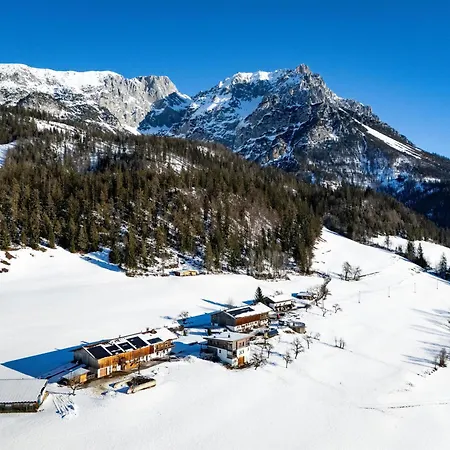 Hinterschiesslinghof Apartment Scheffau am Wilden Kaiser