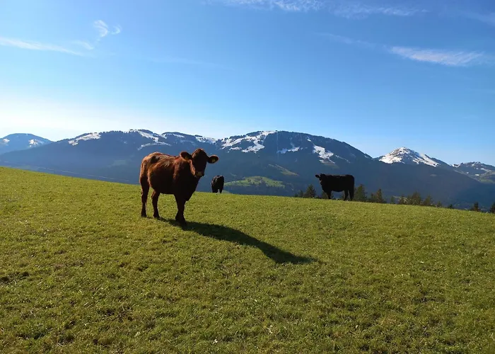 Hinterschiesslinghof Apartamento Scheffau am Wilden Kaiser